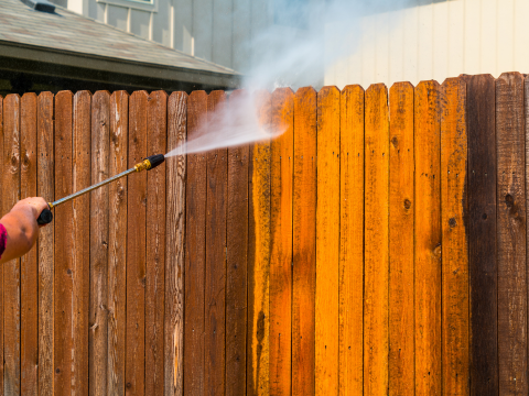 Fence Cleaning